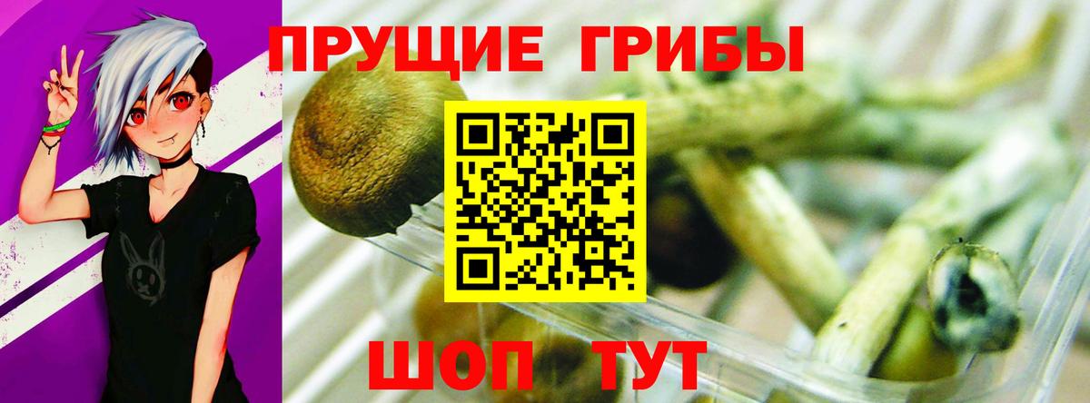 Псилоцибиновые грибы мицелий  где продают наркотики  Якутск  Вход с VPN 